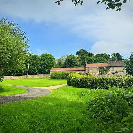 Old Orchard Cottage, Wykeham Scarborough Extérieur photo