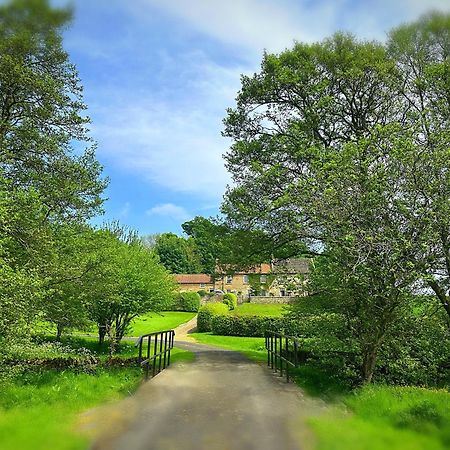 Old Orchard Cottage, Wykeham Scarborough Extérieur photo